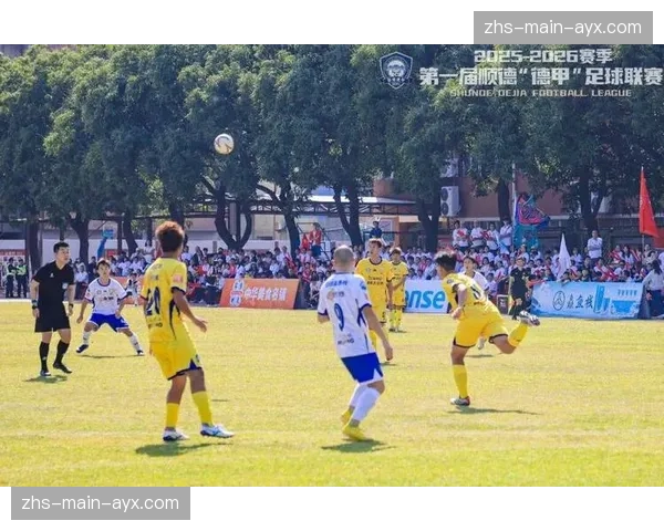 德甲俱乐部联合举办大型社区足球节，超过五千名青少年参与