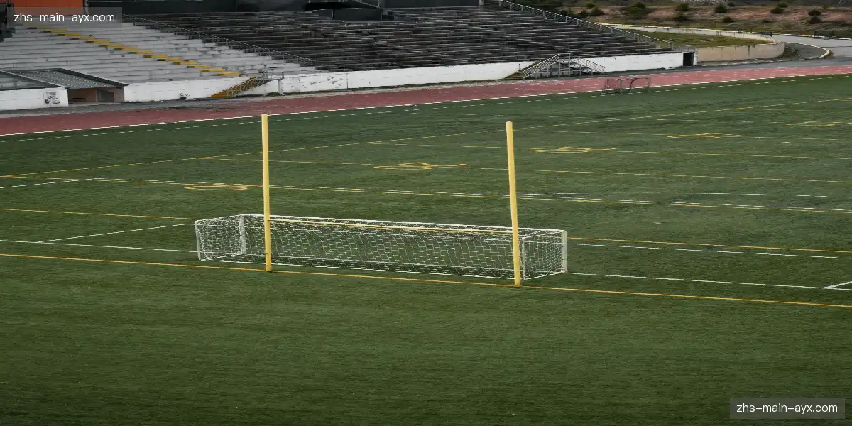 🎯 飞碟赛场鸟类干扰，选手等待后冷静击发，绝杀时刻即将上演！🐦